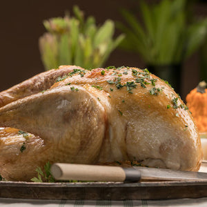 Guide to Everything Turkey (Recipes included)