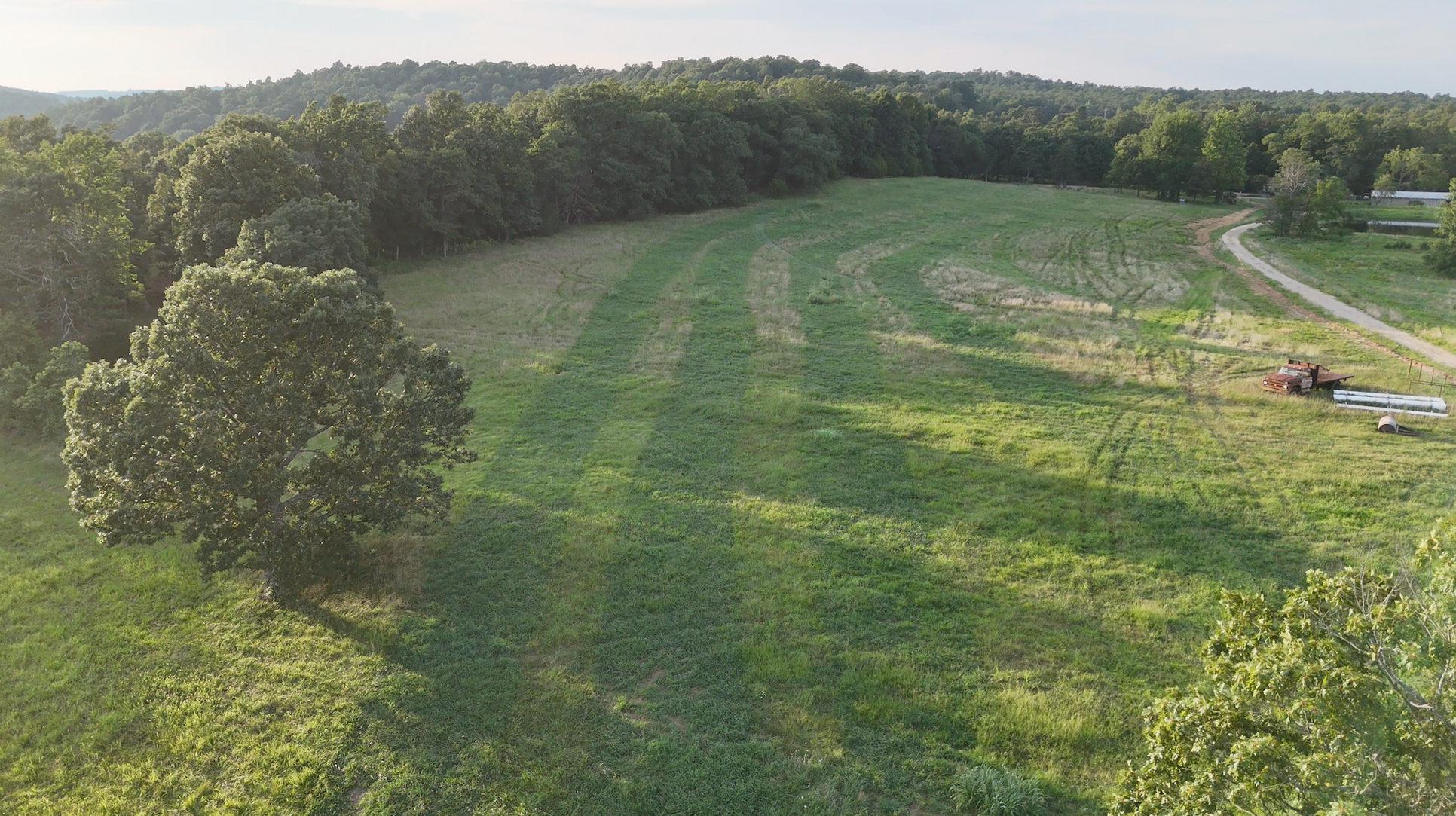 Betting on Pasture, Not Profit