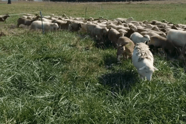The Slow Turn of Fall on the Farm