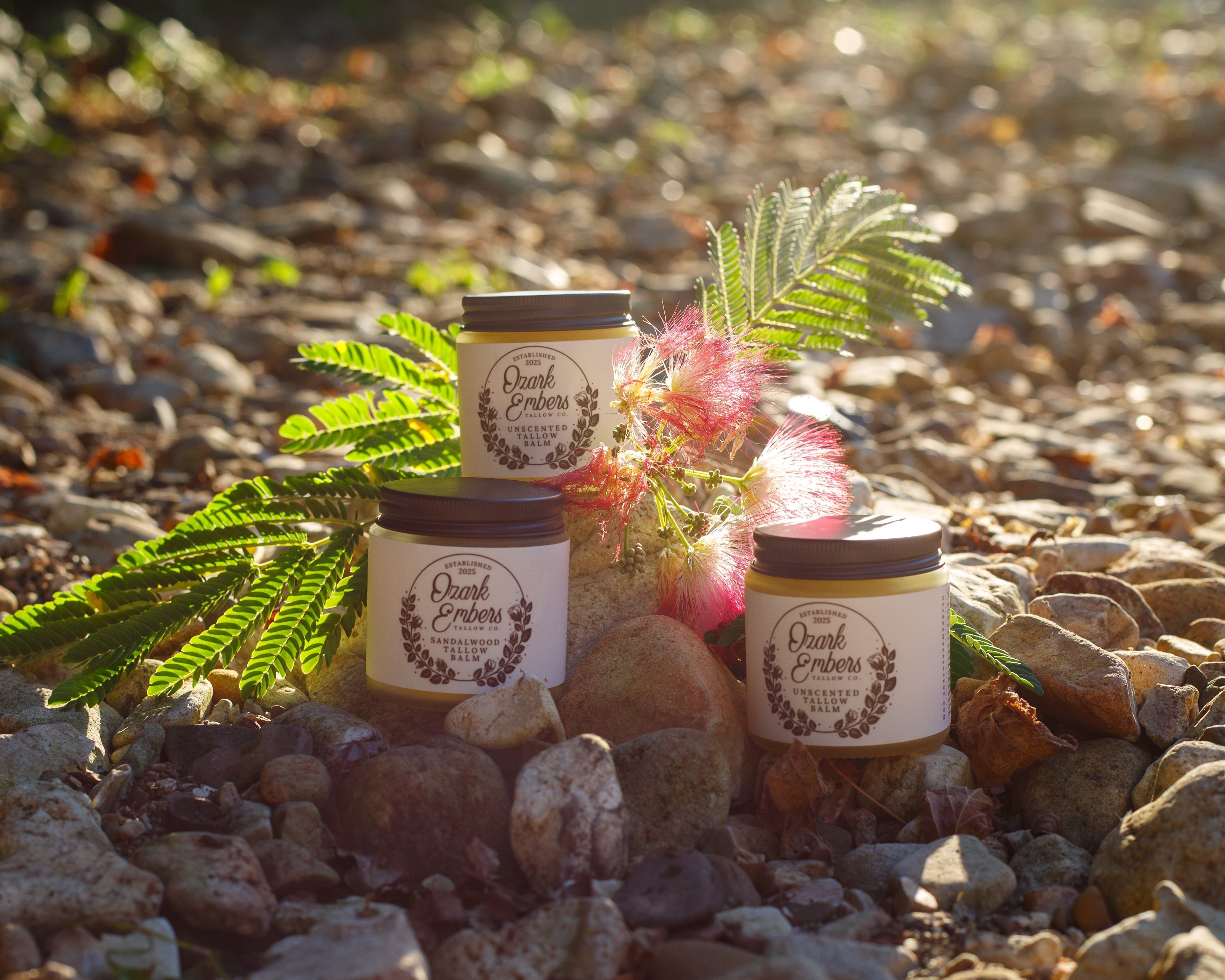 Beef Tallow: The Healthy Fat you're Overlooking