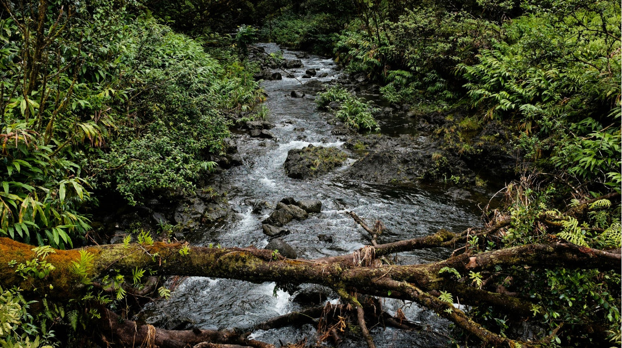 Water Management: Protecting Our Most Precious Resource