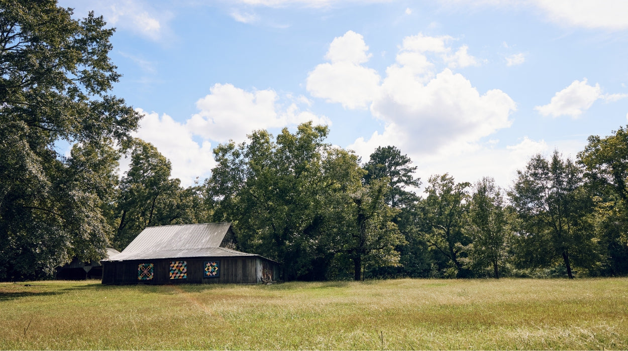 Farm Resilience: The Mighty Power of Small Farms