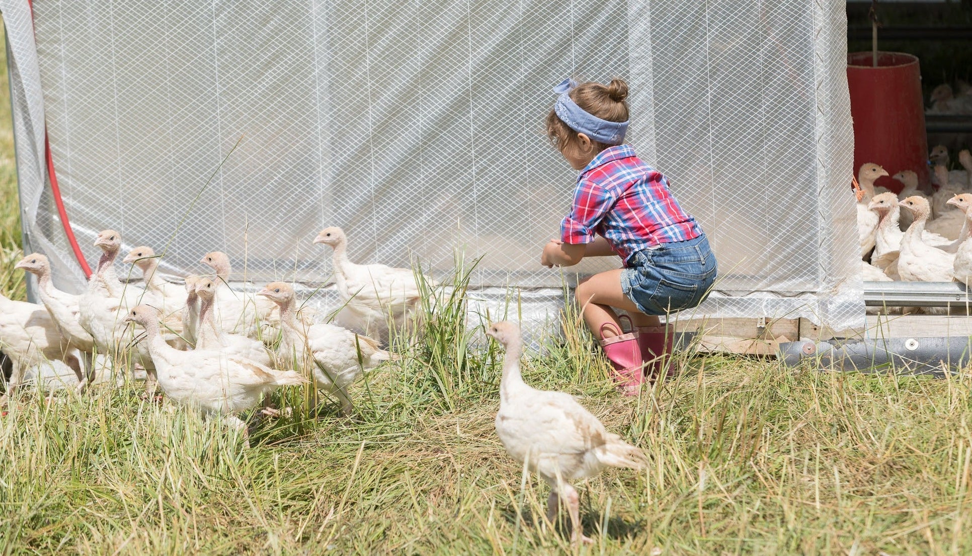 Why America's Farmland is Disappearing