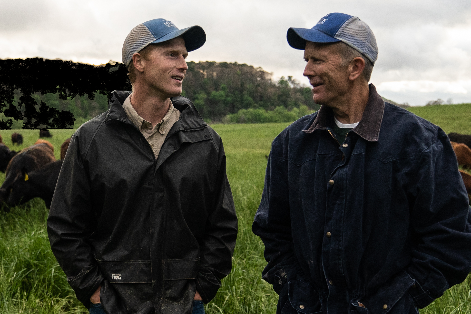 A Look Inside A Grass Roots Farm
