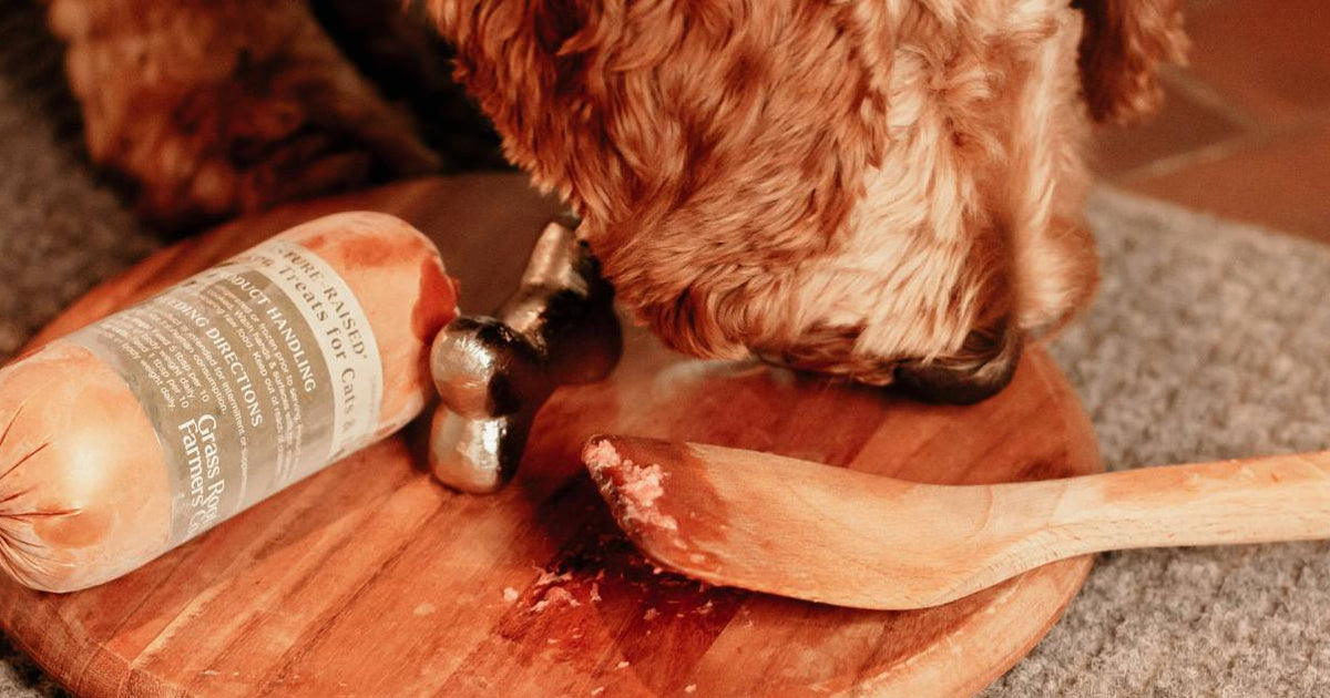 Nutrients How To Stop My Dog From Eating Grass Nutrients Why Is My