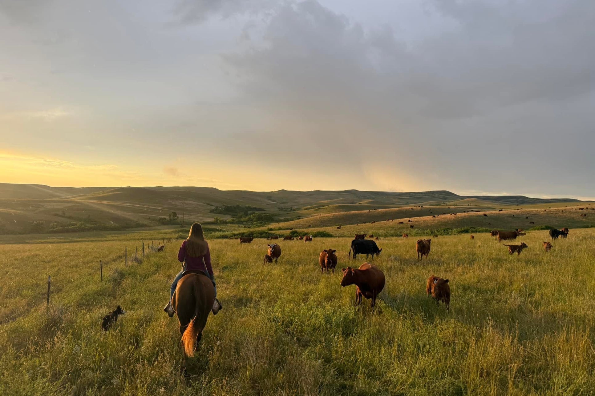 America's Last Independent Farmers Are being Priced Out