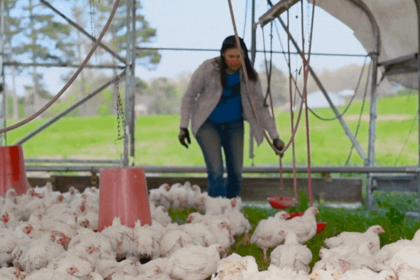 Join Farmer Andrea for a Morning on the Farm