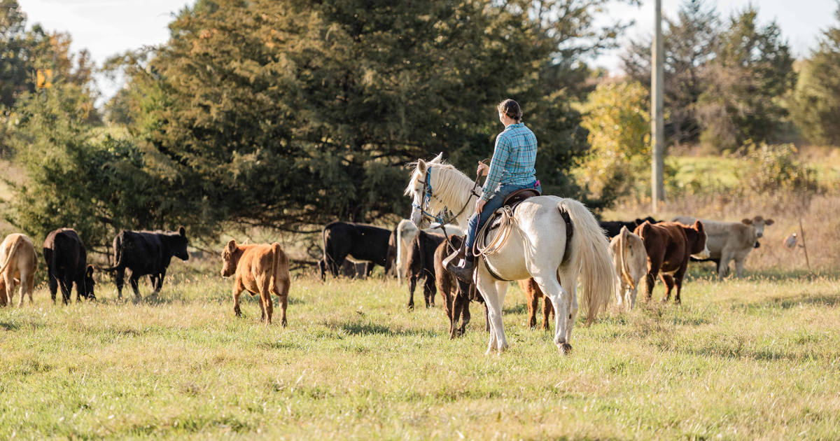 Regrow Ranchers The Broken Math Keeping Young Ranchers Out – Grass Roots Farmers ...