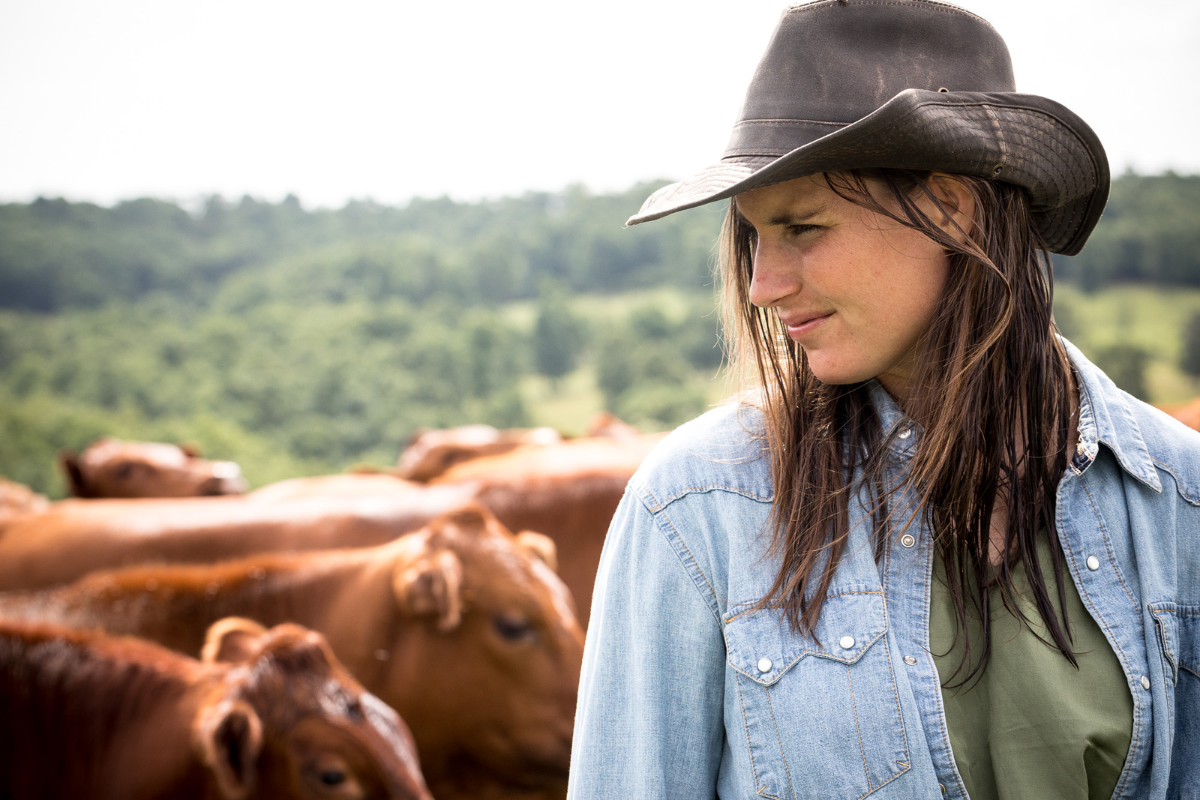 Fighting Back Against the System