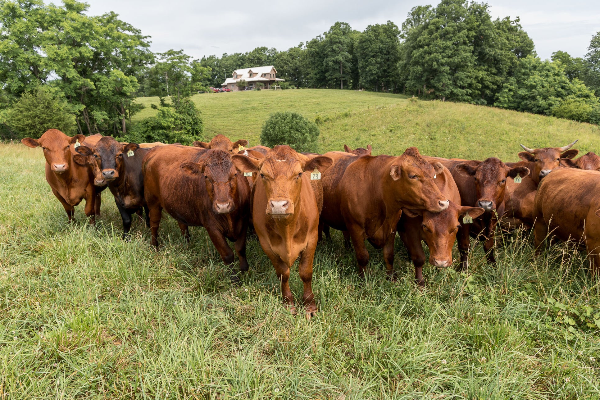 Grass Roots Farmers Help Slow Global Warming