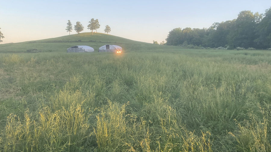 A Sinking Feeling. How regenerative farming can rebalance the carbon cycle