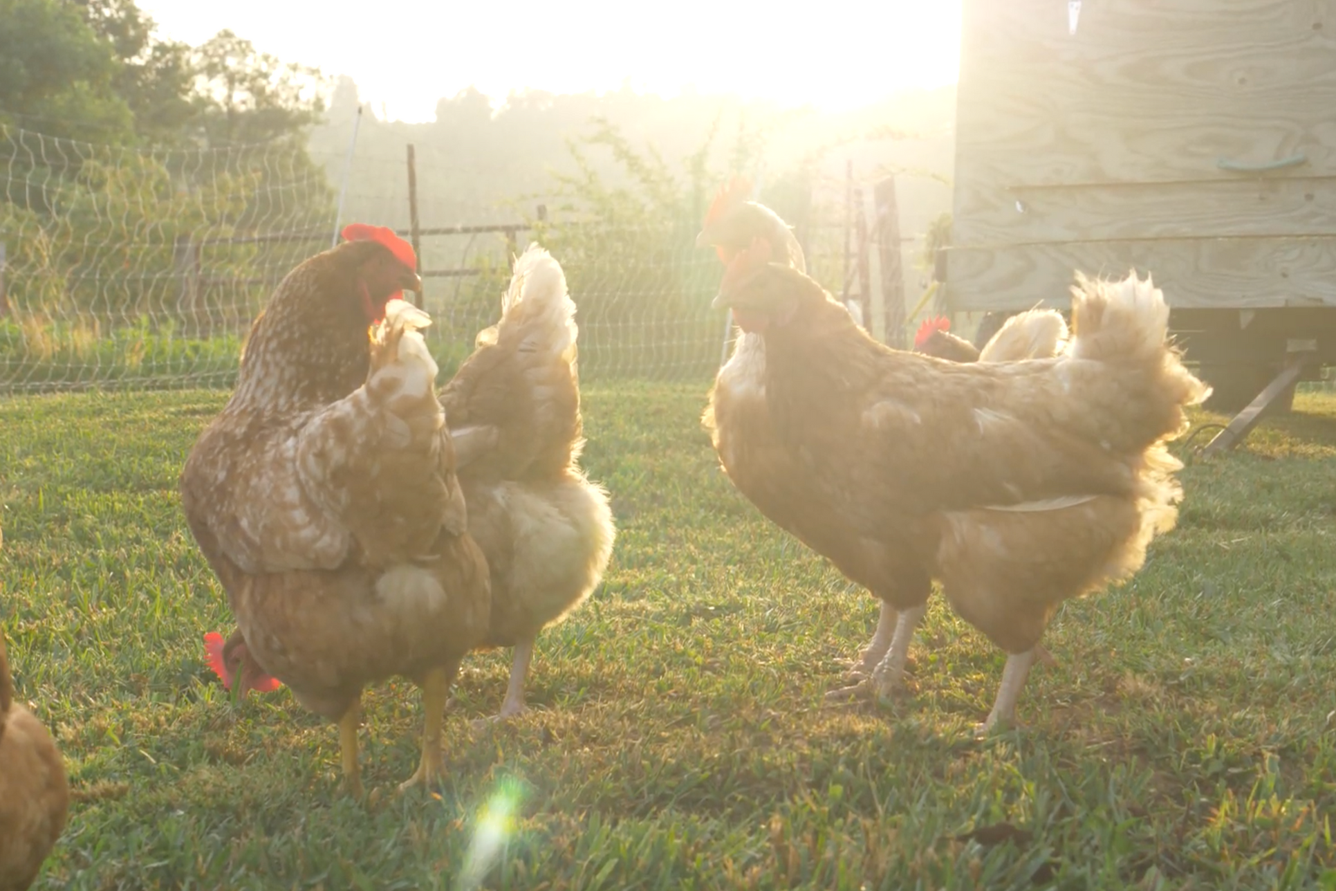 Resilience Built into the System