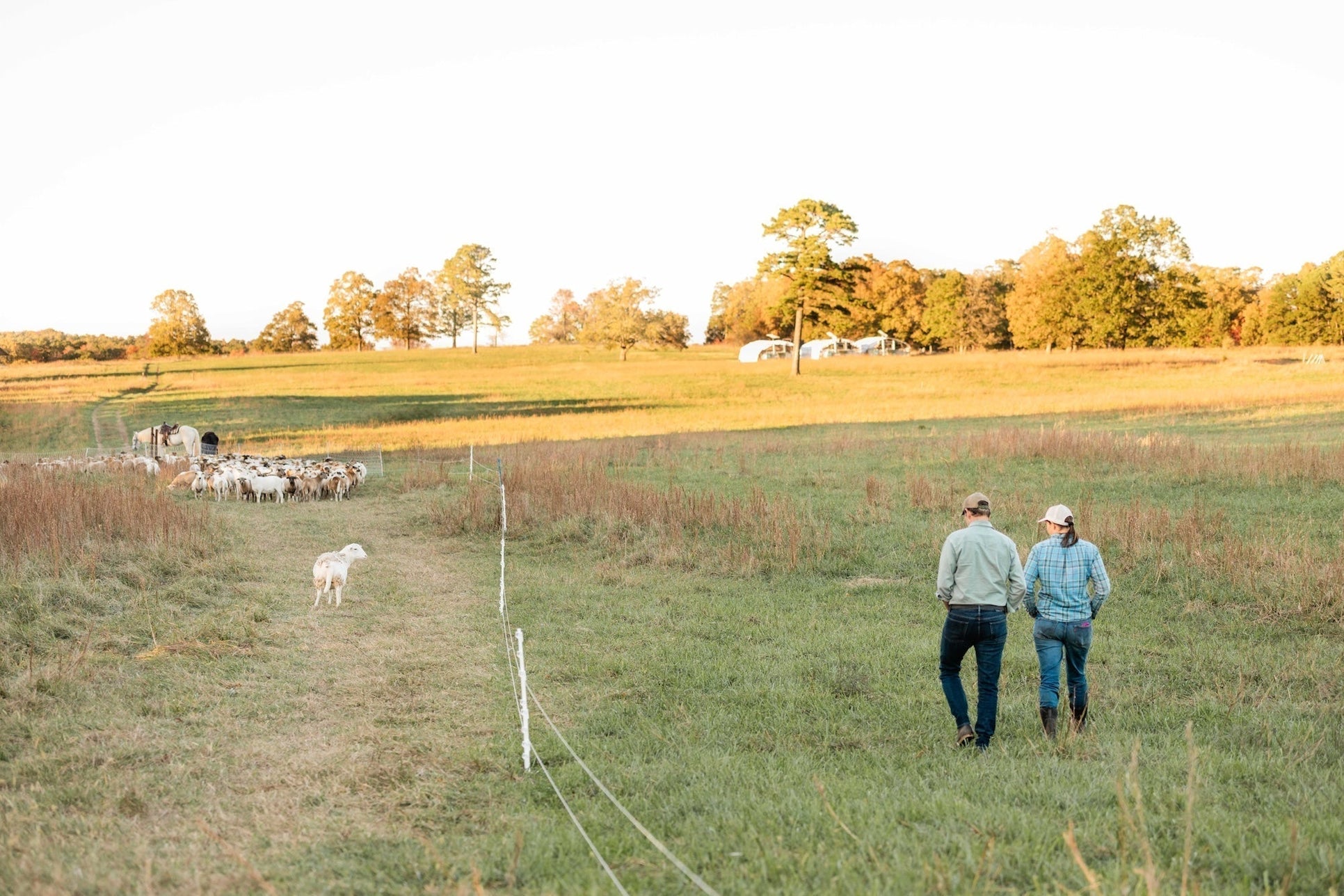 Why Nature Always Gets the Last Word