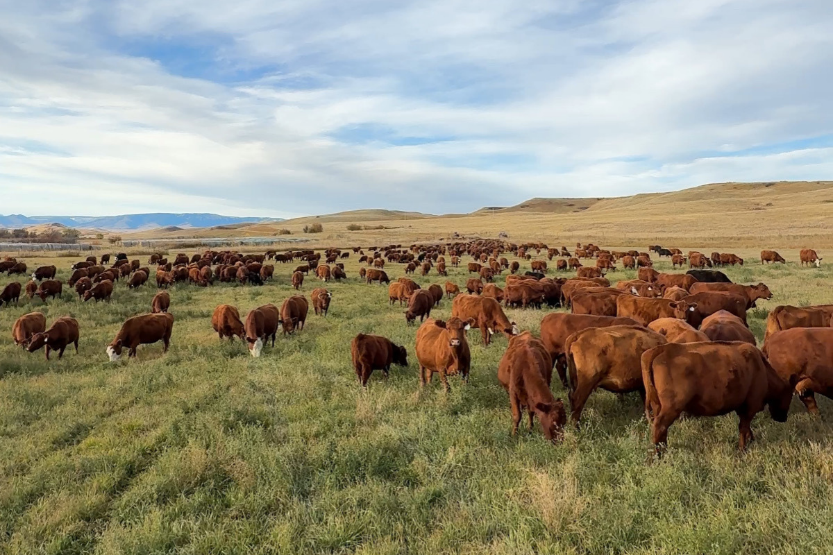 What "Product of the USA" Doesn't Tell You