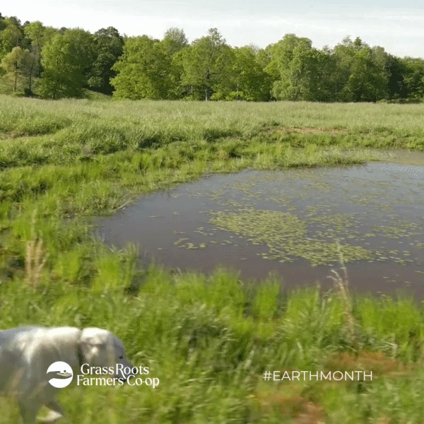 Soil: Where Water Finds a Way