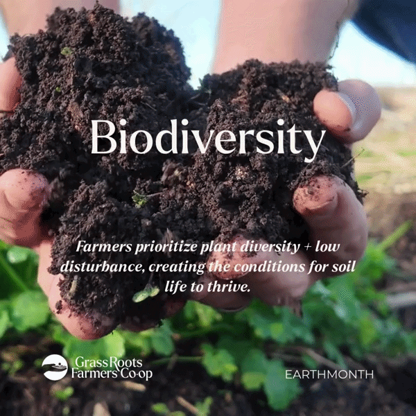 Soil: The World at Your Feet