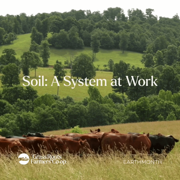 Soil: It's Not Just Dirt