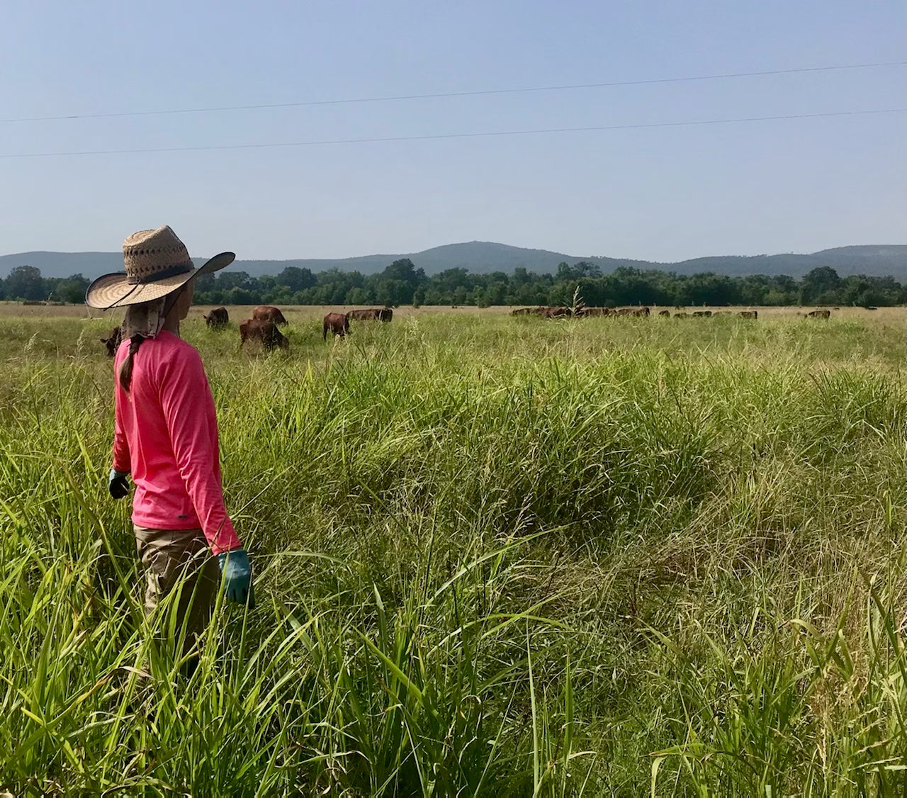 pasture raised