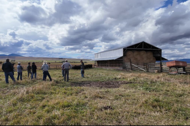 Five generations, 6,500 acres, and one critical decision