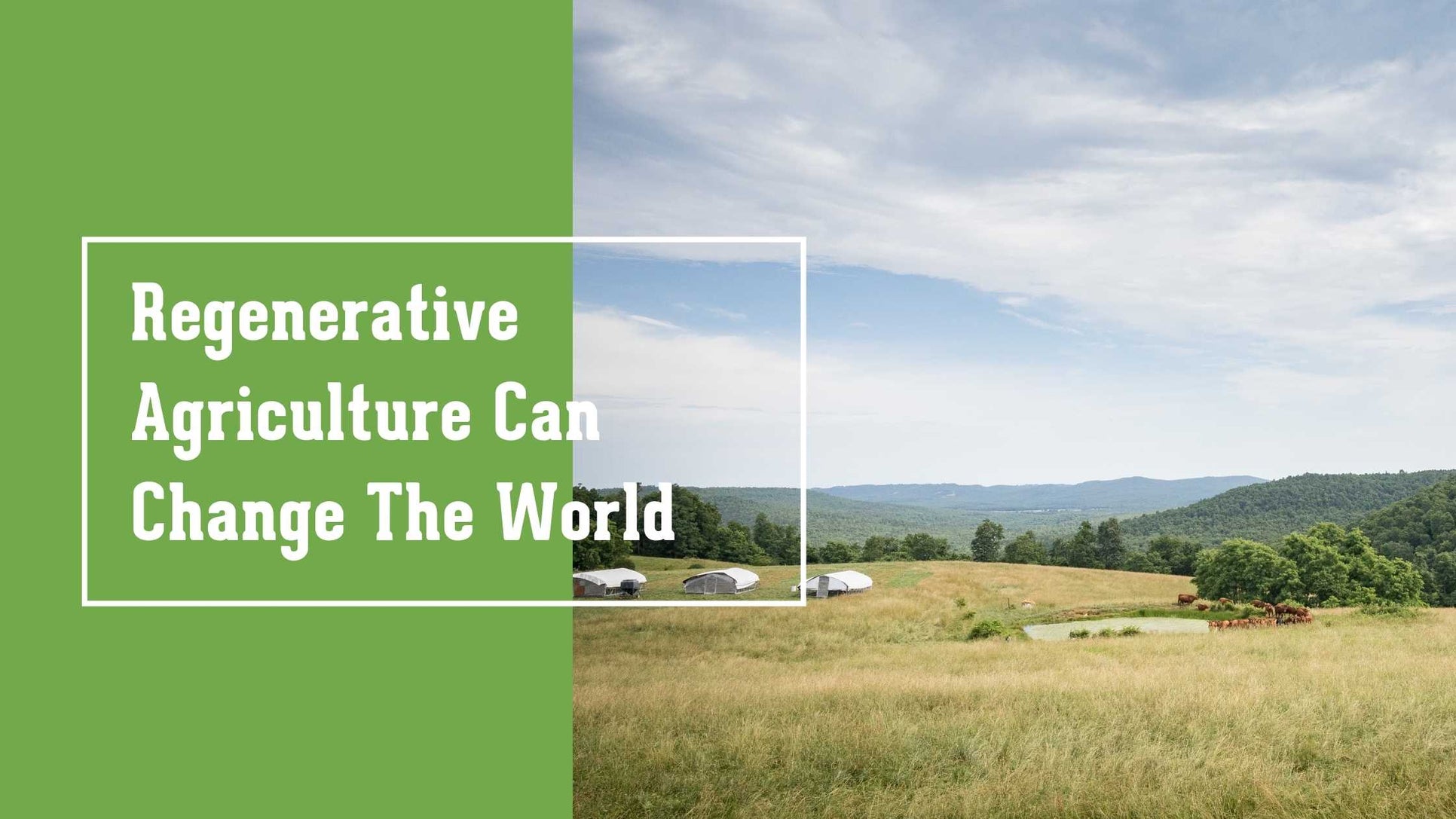 Regenerative Agriculture Can Change The World