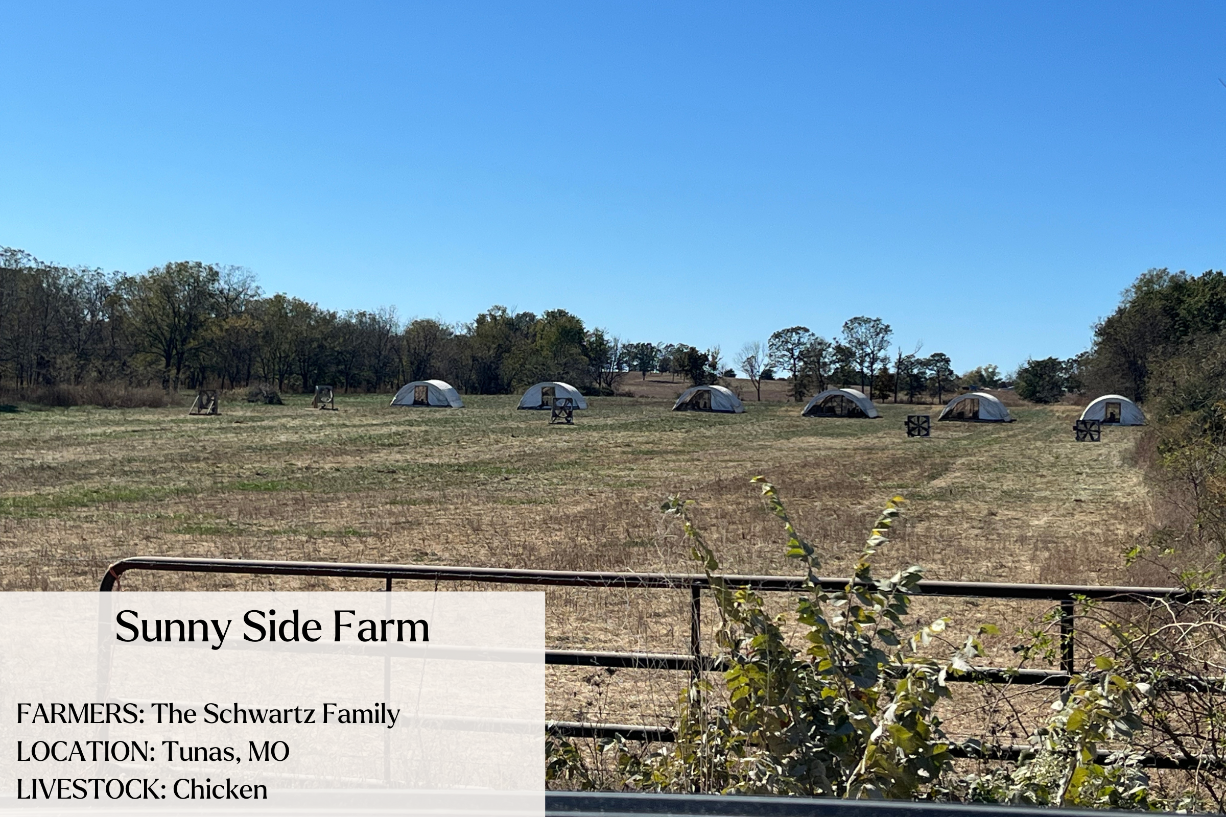 Sunny Side Farm, Missouri