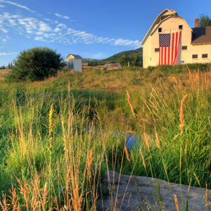 Hungry for Change: Chapter 4 - From Your Kitchen to the Capitol