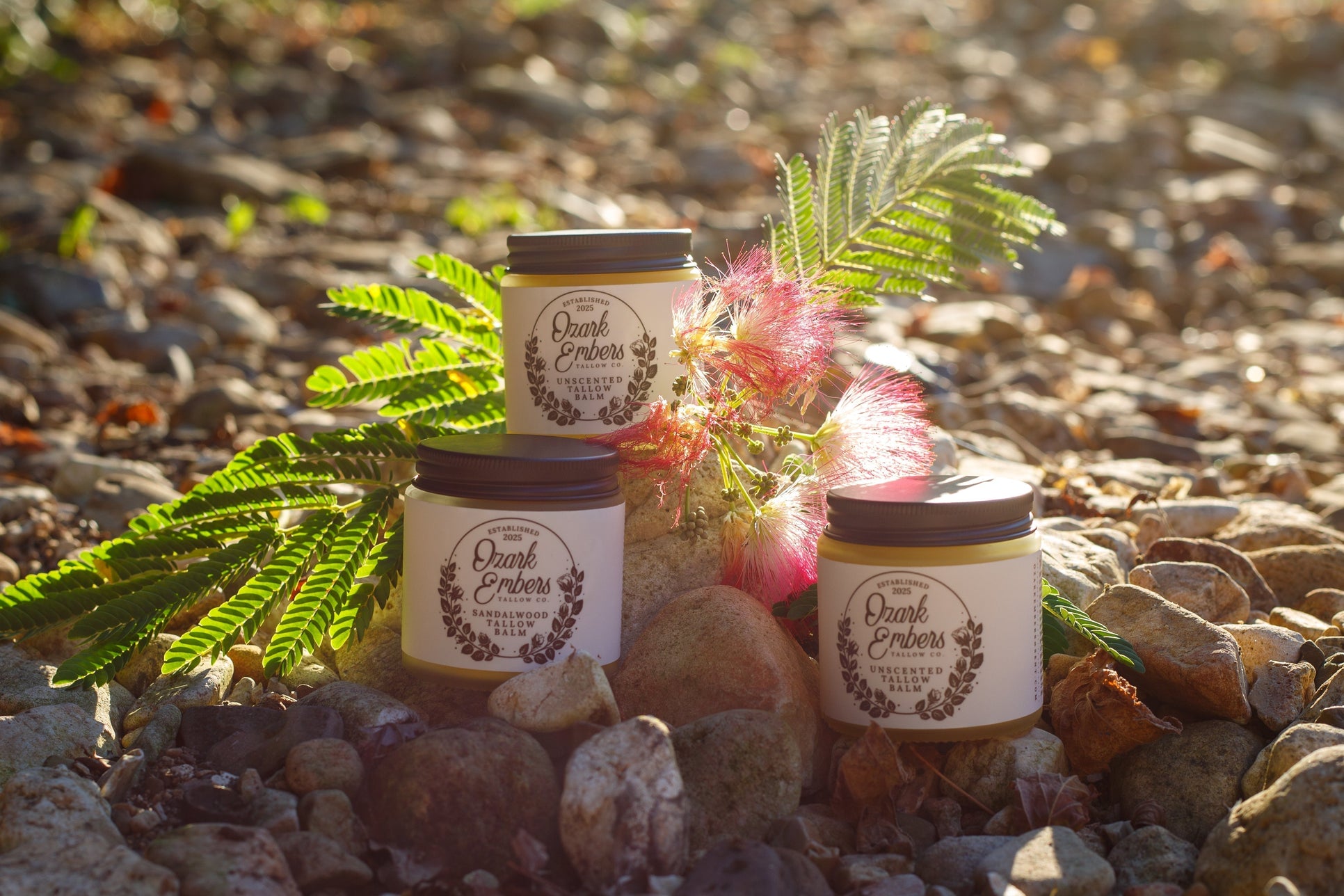 Beef Tallow: The Healthy Fat you're Overlooking