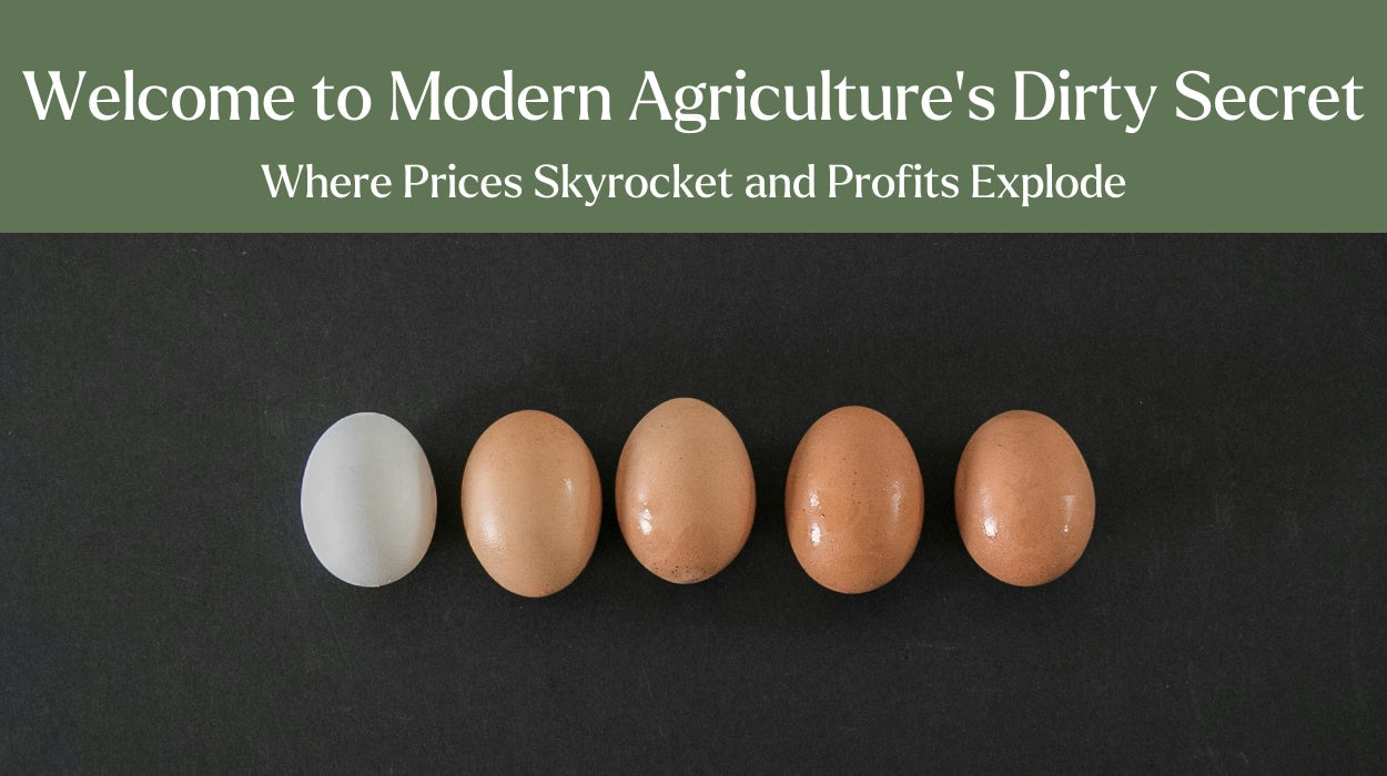 Your Expensive Eggs Are Making Someone Very Rich (Not Farmers)