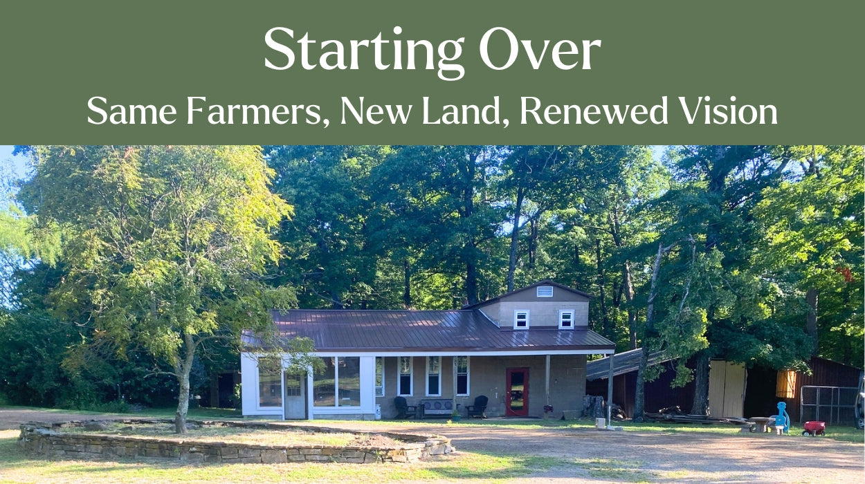 Starting Over