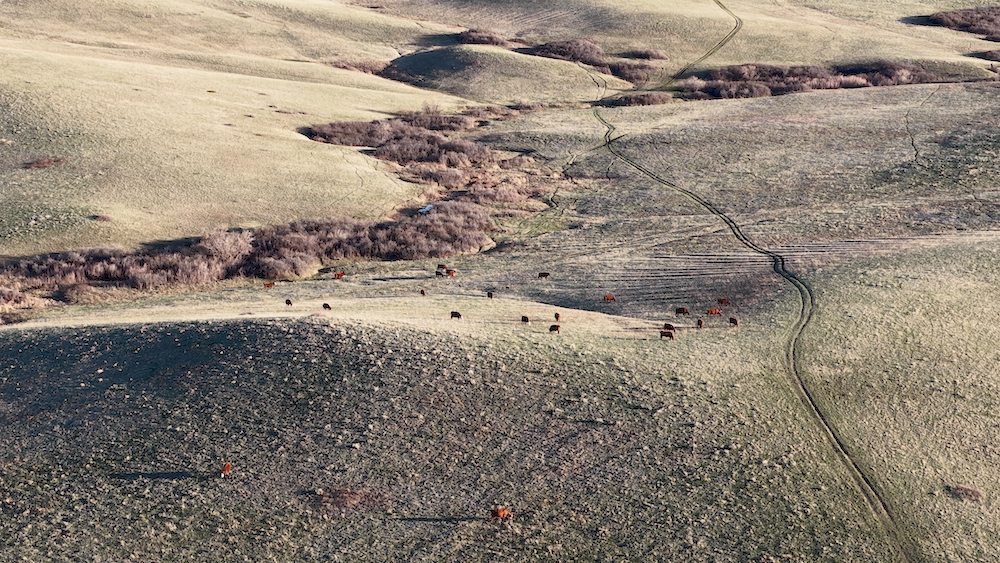 The Quietest Epidemic in America