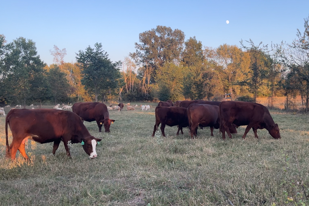 Honoring the Commitment