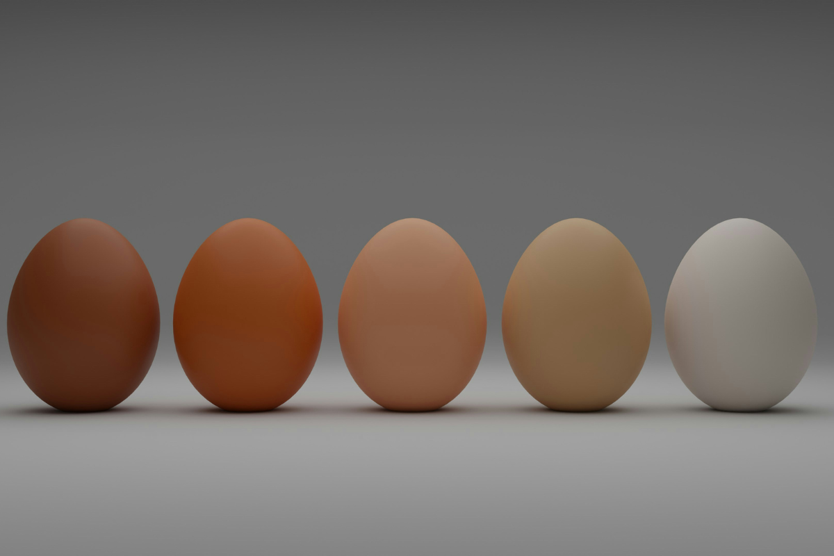 Your Expensive Eggs Are Making Someone Very Rich (Not Farmers)