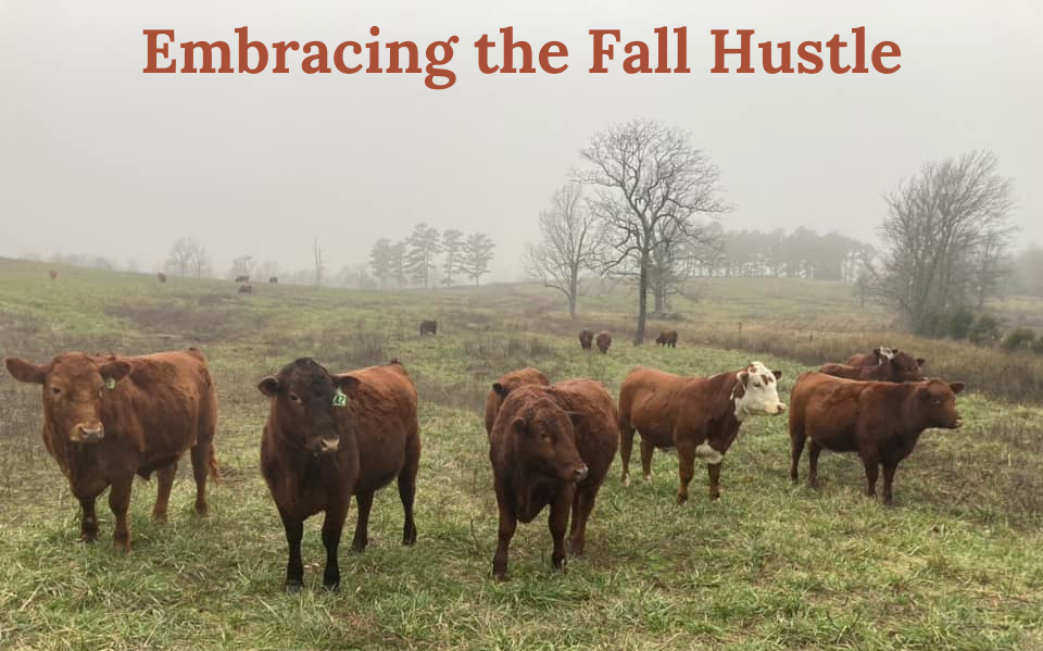 Embracing the Fall Hustle