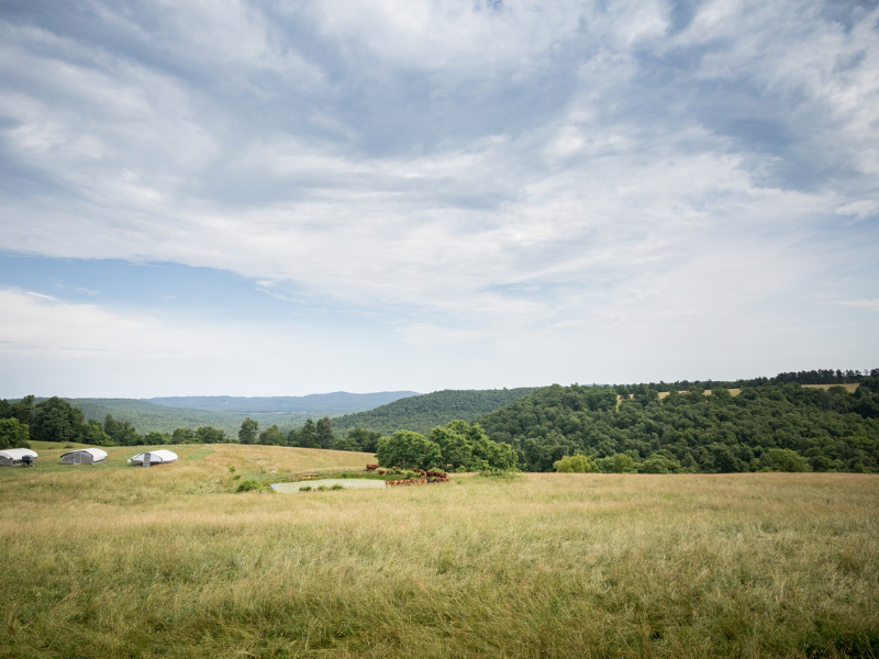 The Farm is the First Pharmacy