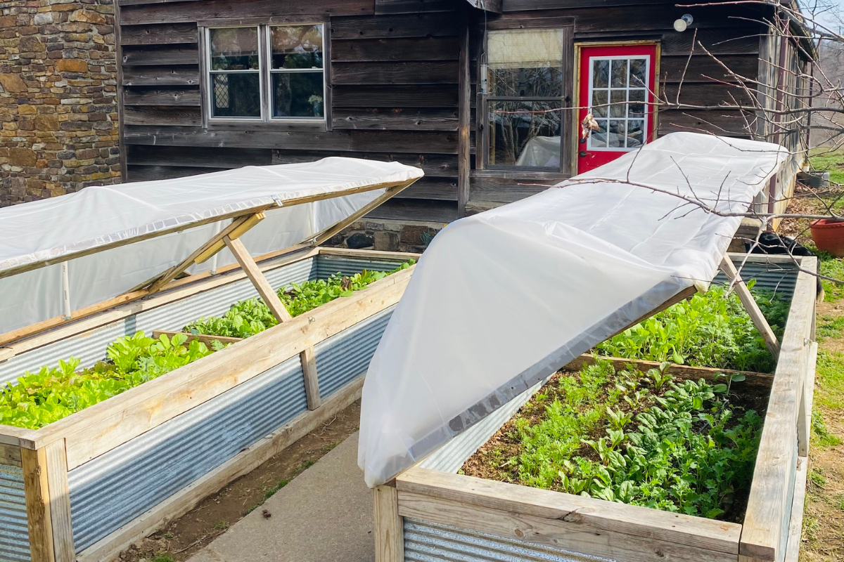 Living Proof There's Another Way