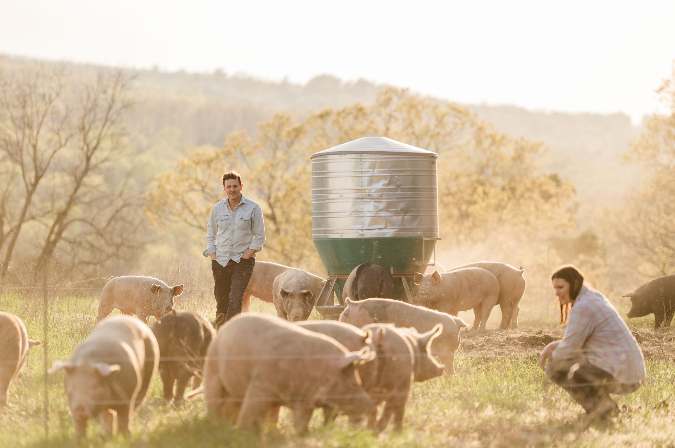 Why Americans Turned Away from Pork, And Why It’s Time to Come Back