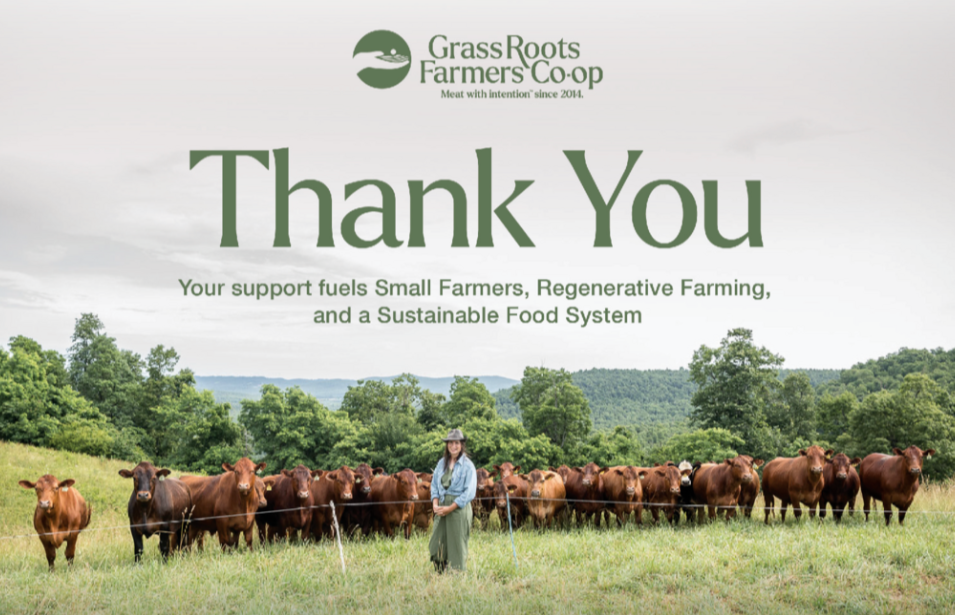 Grassroots Farmer Co-op mailer with images of people and cows in a field, featuring text and branding.